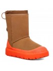 UGG Classic Short Weather Hybrid - Chestnut / Orange