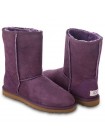 Угги классические фиолетовые замшевые UGG Australia Classic Short Purple