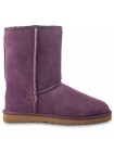Угги классические фиолетовые замшевые UGG Australia Classic Short Purple