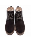 Мужские ботинки UGG Neumel Gentleman - Chocolate