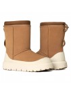 UGG Classic Short Weather Hybrid - Chestnut / Whitecap