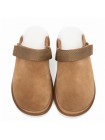 UGG Goldenstar Clog Chestnut